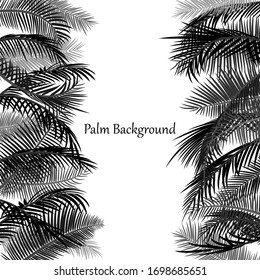 Background template with palm leaves. Minimalistic design. Border, frame with black branches of palm trees on a white background. Place for text. Vector tropical illustration.