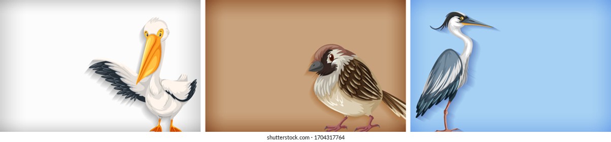 Background template with plain color and different types of birds illustration