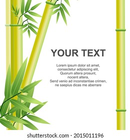 Background template with yellow bamboo illustration