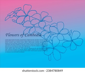 Background templet design, frangipani flower, sketch with gradation color, with text dummy.