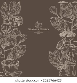 Background with terminalia bellirica: terminalia bellirica plant, leaves and terminalia bellirica fruit. Bibhitaki fruit. Cosmetic, perfumery and medical plant. Vector hand drawn 
