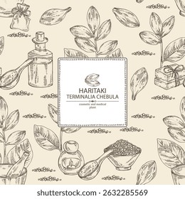 Background with terminalia chebula: terminalia chebula plant, leaves and haritaki fruits. Haritaki. Oil, soap and bath salt . Cosmetics and medical plant. Vector hand drawn illustration