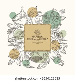 Plano de fundo com terminalia chebula: planta de terminalia chebula, folhas e frutos haritaki. Haritaki. Óleo, sabão e sal de banho . Cosméticos e planta médica. Ilustração desenhada à mão vetorial