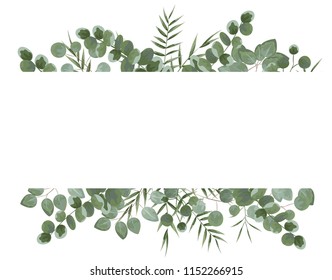 background for text from eucalyptus. gray and green eucalyptus.invitation, postcard with eucalyptus. rustic style, Botanical style. burp with greens. vector illustration