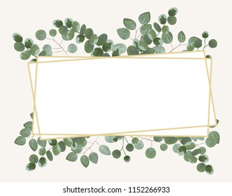 background for text from eucalyptus. gray and green eucalyptus.invitation, postcard with eucalyptus. rustic style, Botanical style. burp with greens. vector illustration