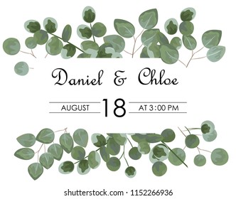 background for text from eucalyptus. gray and green eucalyptus.invitation, postcard with eucalyptus. rustic style, Botanical style. burp with greens. vector illustration