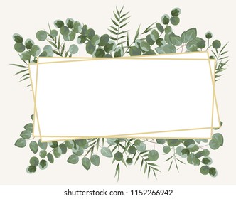 background for text from eucalyptus. gray and green eucalyptus.invitation, postcard with eucalyptus. rustic style, Botanical style. burp with greens. vector illustration