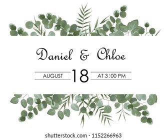 background for text from eucalyptus. gray and green eucalyptus.invitation, postcard with eucalyptus. rustic style, Botanical style. burp with greens. vector illustration