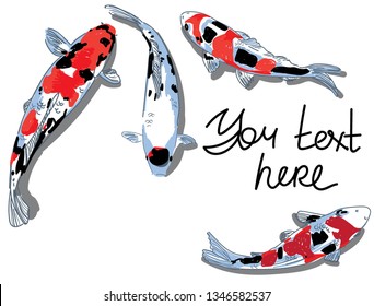 
Background for text with koi carps. Multi-colored spotted fish. Bulk pattern with shadow.