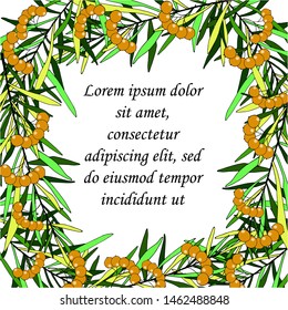 background for text with leaves and berries