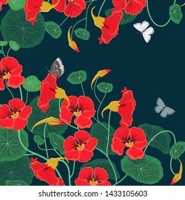 Background for text with nasturtium flowers and butterflies. Vector illustration.