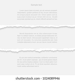 Background for text on torn paper. Vector illustration.