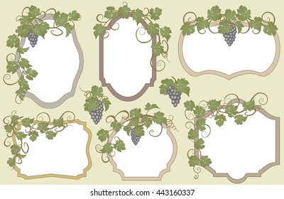 Background for text with vines and bunches of grapes. Set of frames with vines in vintage style.