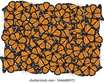 background texture of butterflies monarchs on white background - vector