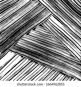 Background texture. Grunge brush pattern. Vector.