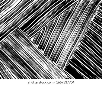 Background texture. Grunge brush pattern. Vector.