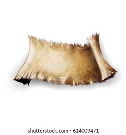 background texture of old canvas roll vector