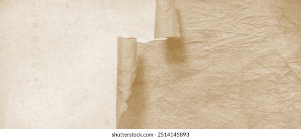 Background texture of old wrinkled torn paper, vintage parchment, paper roll, horizontal vector banner