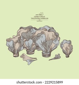 Background with thelephora ganbajun: piece of ganba fungus mushroom, thelephora ganbajun mushrooms. Vector hand drawn mushroom illustrations