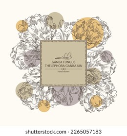 Background with thelephora ganbajun: piece of ganba fungus mushroom, thelephora ganbajun mushrooms. Vector hand drawn mushroom illustrations