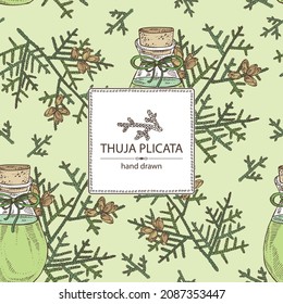Background with thuja plicata: branch of thuja plicata with thuja cone and bottle of thuja plicata essential oil. Cosmetic, perfumery and medical plant. Vector hand drawn illustratio