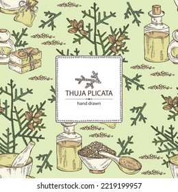 Background with thuja plicata: branch of thuja plicata with thuja cone. Oil, soap and bath salt . Cosmetics and medical plant. Vector hand drawn illustration