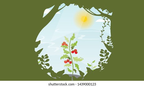 Background with tomato plant through the woods