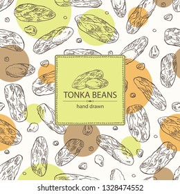 Background with tonka beans: tonka fruit, beans and leaves. Dipteryx odorata. Cosmetic, perfumery and medical plant. Vector hand drawn illustration
