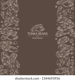 Background with tonka beans: tonka fruit, beans and leaves. Dipteryx odorata. Cosmetic, perfumery and medical plant. Vector hand drawn illustration