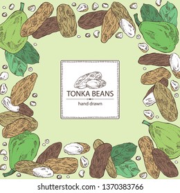 Background with tonka beans: tonka fruit, beans and leaves. Dipteryx odorata. Cosmetic, perfumery and medical plant. Vector hand drawn illustration