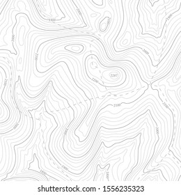 Background Of Topographic Line Contour Map, Geographic Grid Map.