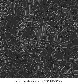 Background of the topographic map. Topographic map lines, contour background. Geographic grid, vector abstract.