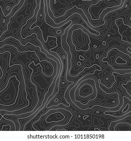 Background of the topographic map. Topographic map lines, contour background. Geographic grid, vector abstract.