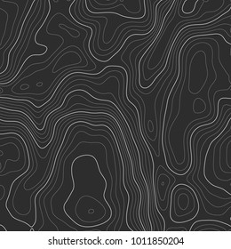 Background of the topographic map. Topographic map lines, contour background. Geographic grid, vector abstract.