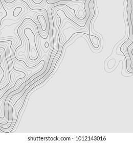 Background of the topographic map. Topographic map lines, contour background. Geographic grid, vector abstract.