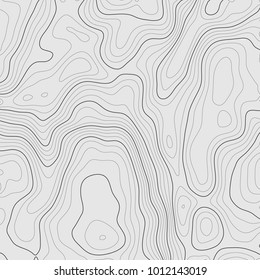 Background of the topographic map. Topographic map lines, contour background. Geographic grid, vector abstract.