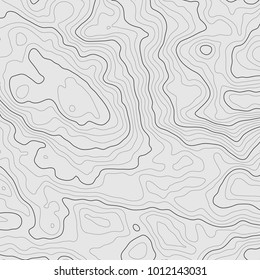 Antecedentes del mapa topográfico. Líneas de mapa topográfico, fondo de contorno. Cuadrícula geográfica, abstracto vectorial.