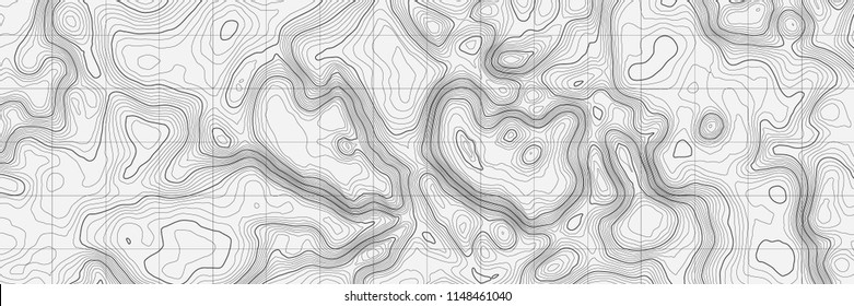 Background of the topographic map. Topographic map lines, contour background. Geographic abstract grid. EPS 10 vector illustration.