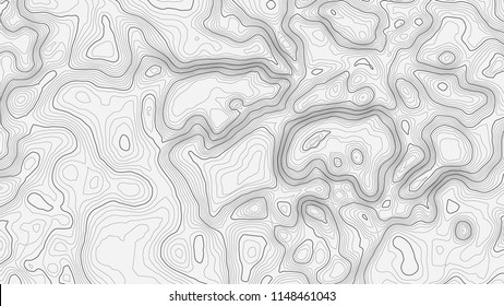 Background of the topographic map. Topographic map lines, contour background. Geographic abstract grid. EPS 10 vector illustration.