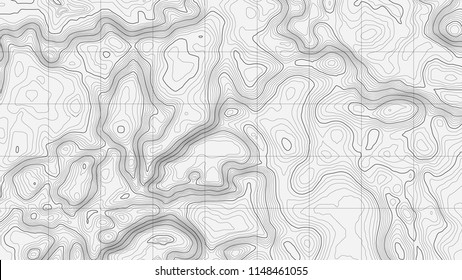 Background of the topographic map. Topographic map lines, contour background. Geographic abstract grid. EPS 10 vector illustration.