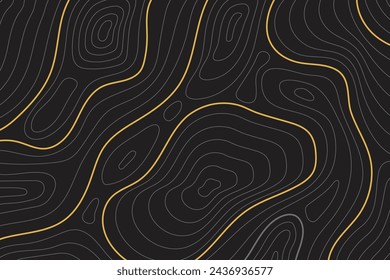 Background of the topographic map. Topographic map lines, contour background.