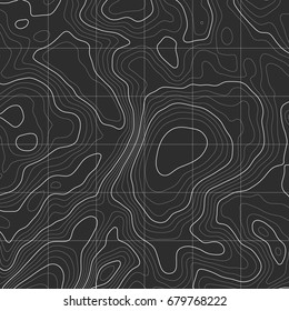 Background of the topographic map. Topographic map lines, contour background. Geographic grid, vector abstract.
