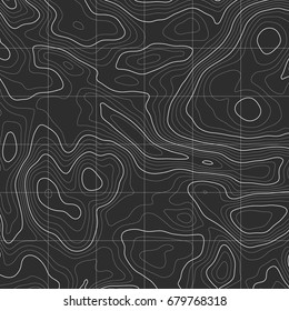 Background of the topographic map. Topographic map lines, contour background. Geographic grid, vector abstract.