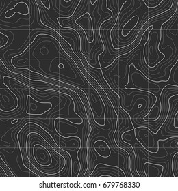 Background of the topographic map. Topographic map lines, contour background. Geographic grid, vector abstract.