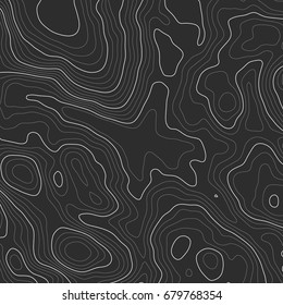 Background of the topographic map. Topographic map lines, contour background. Geographic grid, vector abstract.