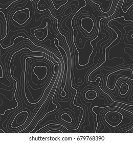Background of the topographic map. Topographic map lines, contour background. Geographic grid, vector abstract.