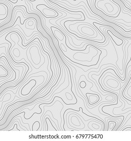 Background of the topographic map. Topographic map lines, contour background. Geographic grid, vector abstract.