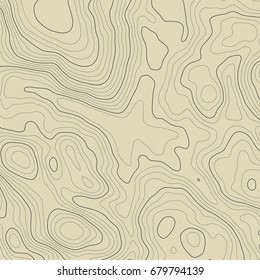 Background of the topographic map. Topographic map lines, contour background. Geographic grid, vector abstract.
