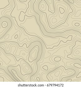 Background of the topographic map. Topographic map lines, contour background. Geographic grid, vector abstract.