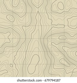 Background of the topographic map. Topographic map lines, contour background. Geographic grid, vector abstract.